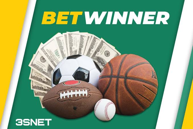 BetWinner Casino Your Ultimate Gaming Destination